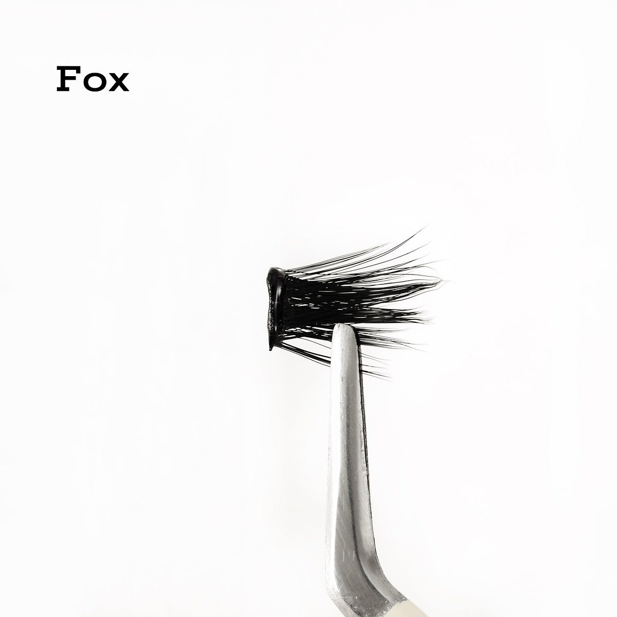the fox